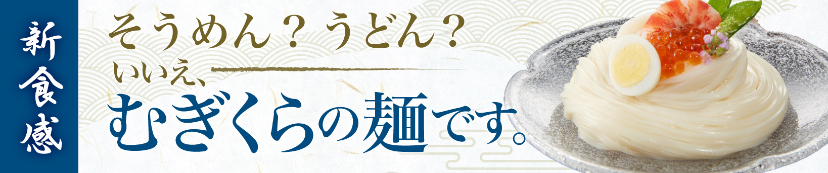 新食感　そうめん？うどん？いいえ、むぎくらの麺です。